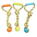 Chomper Toy Pet Tug Spike Ball W/Rope WB15520